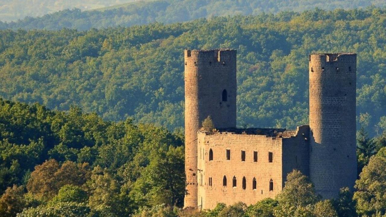 La Curiosite - Appartement 2 Chambres A Barr, Route Des Vins D'Alsace Luaran gambar