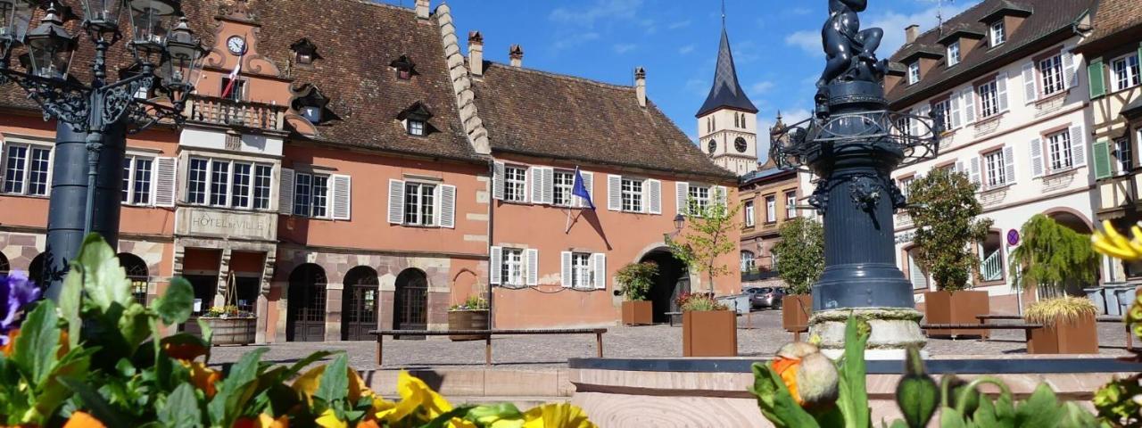 La Curiosite - Appartement 2 Chambres A Barr, Route Des Vins D'Alsace Luaran gambar